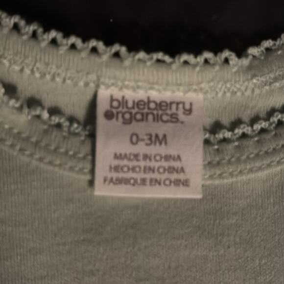 Blueberry Organics Baby Two Piece Short Sleeve Crew Neck One Piece Baby Set 0-3M - Picture 6 of 8